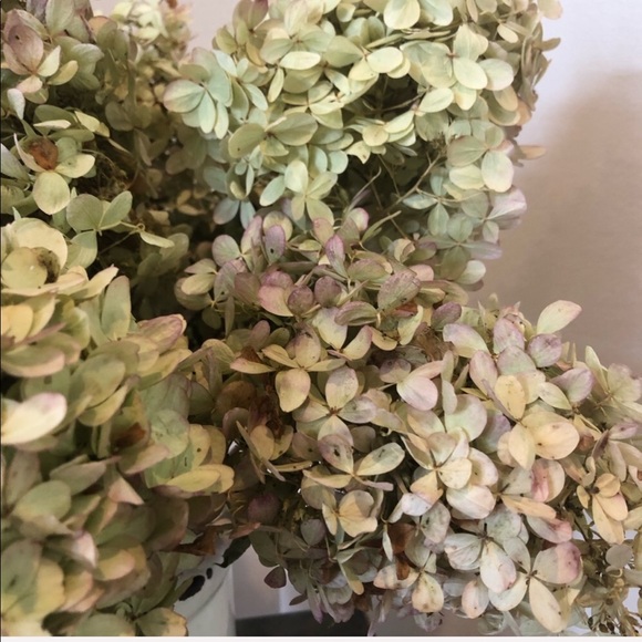 Accents Dried Hydrangea Bouquet Floral Bouquet Poshmark